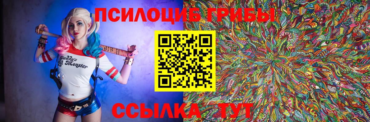 Галлюциногенные грибы Cubensis Фролово
