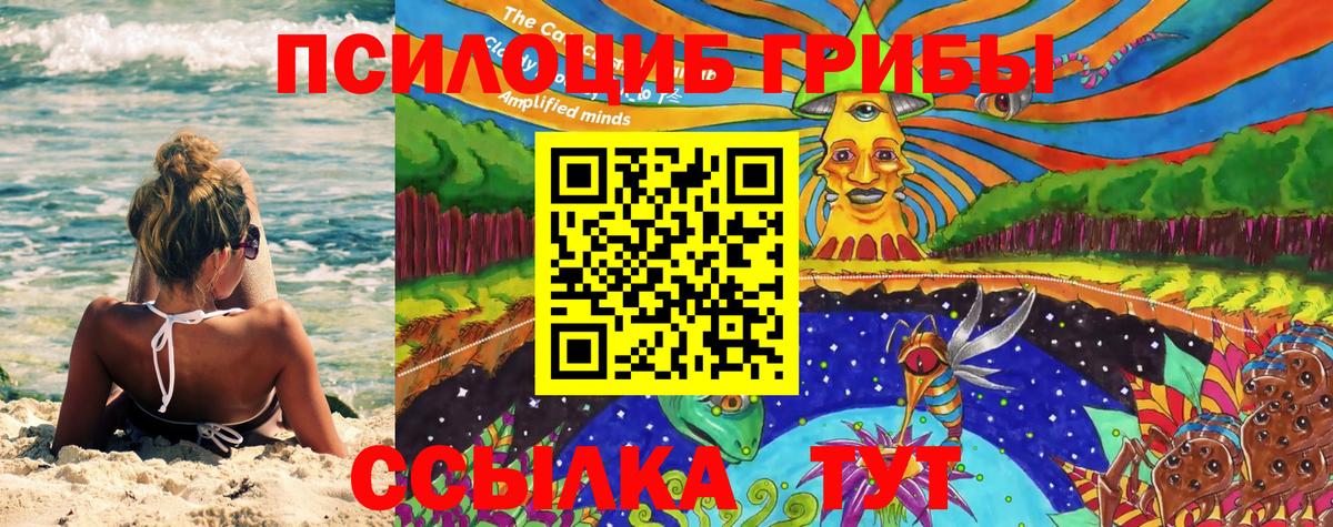 Псилоцибиновые грибы MAGIC MUSHROOMS  Псилоцибиновые грибы прущие грибы  Вход с VPN  как найти закладки  Фролово 
